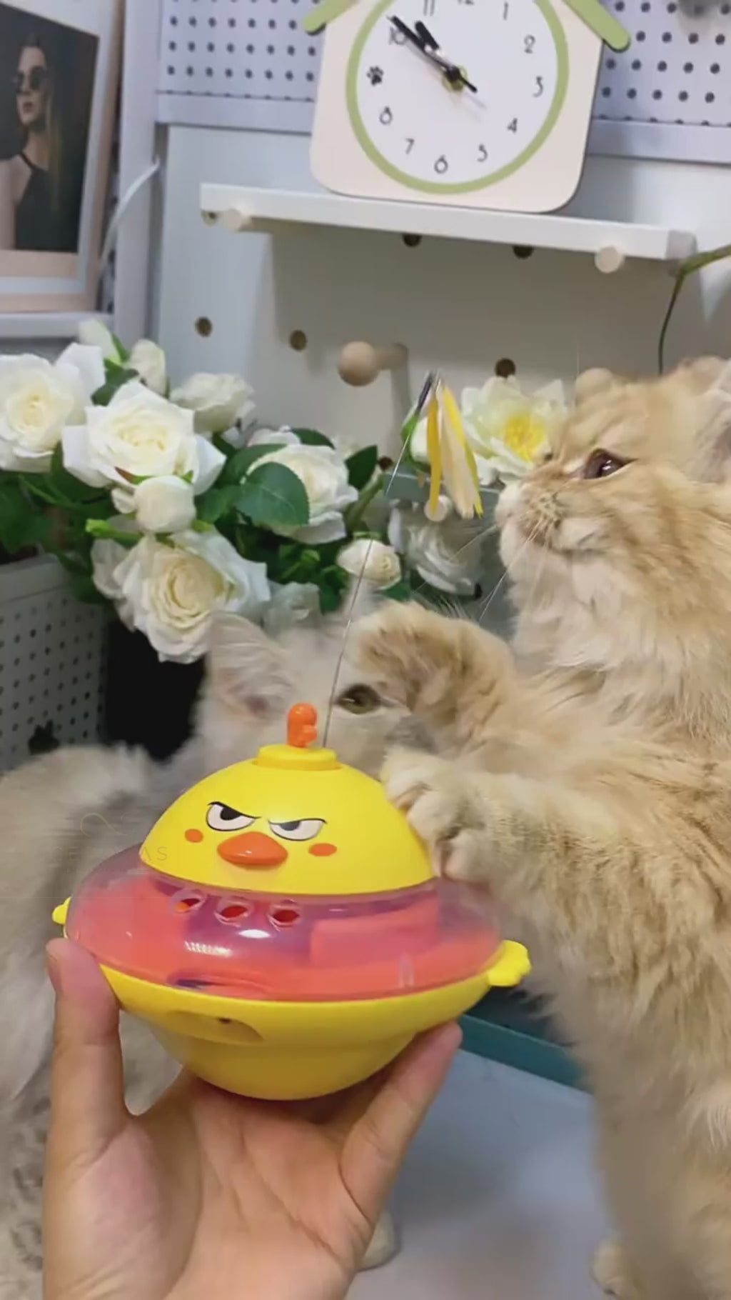 CEROVAS Orbit Interactive Cat Toy