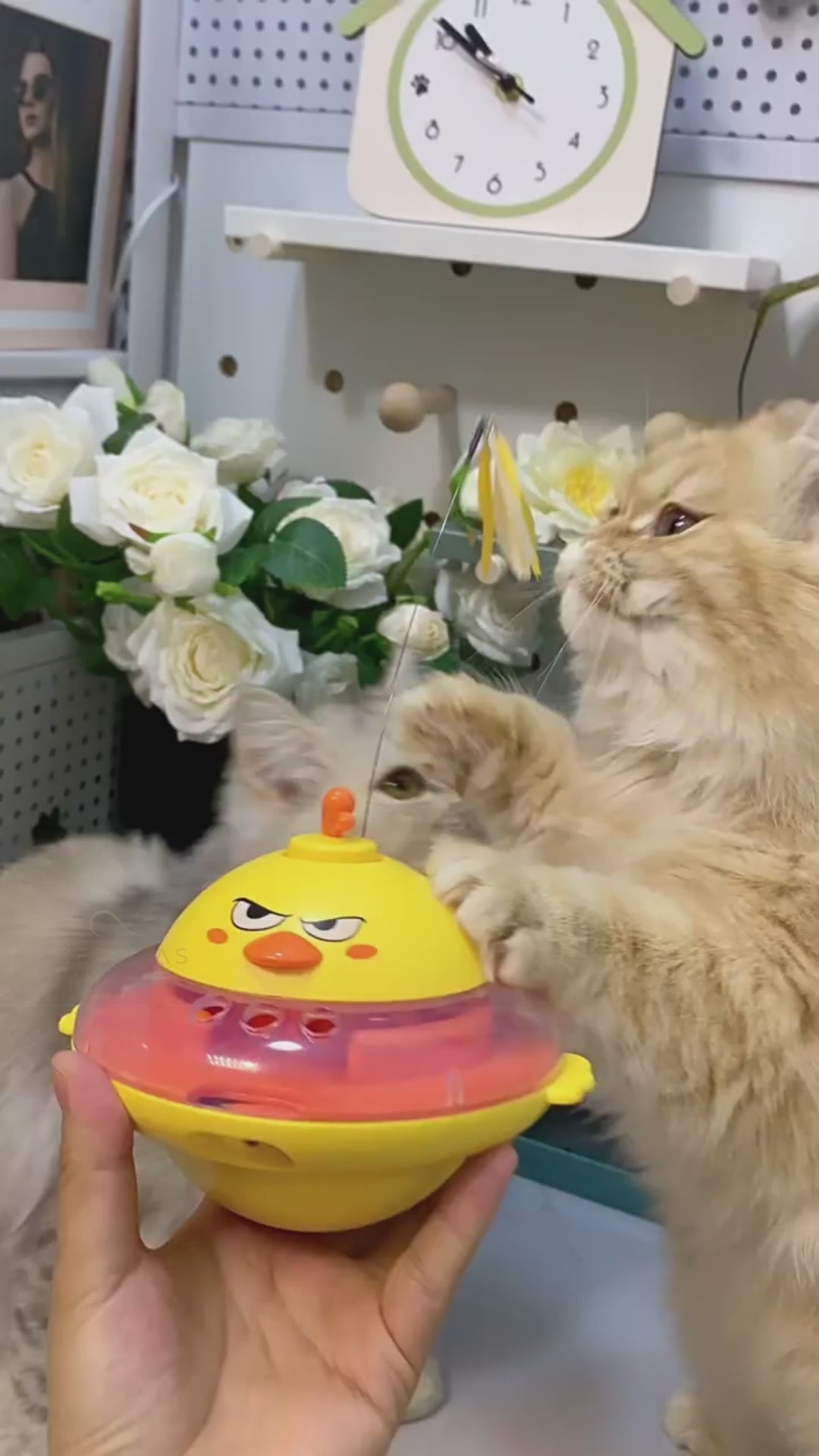 CEROVAS Orbit Interactive Cat Toy
